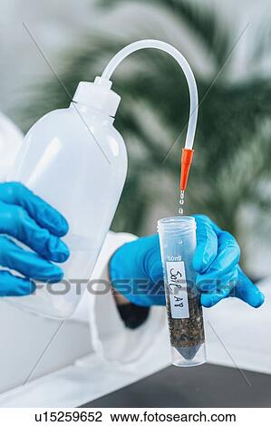 Soil testing. Female biologist in white coat pouring water into test tube with dissolved samples of soil in laboratory. Agrochemical examination of soil. View Large Photo Image Stock Image - Soil testing. Female biologist in white coat pouring water into test tube with dissolved samples of soil in laboratory. Agrochemical examination of soil.. Fotosearch