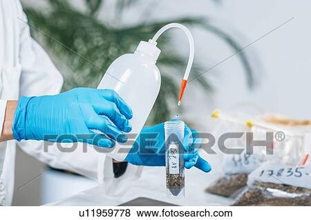Soil testing. Female biologist in white coat pouring water into test tube with dissolved samples of soil in laboratory. Agrochemical examination of soil. View Large Photo Image Stock Photo - Soil testing. Female biologist in white coat pouring water into test tube with dissolved samples of soil in laboratory. Agrochemical examination of soil.. Fotosearch
