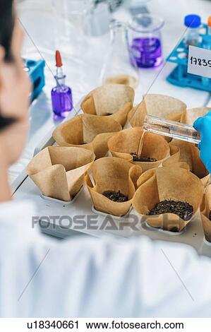 Stock Image - Soil testing laboratory. Agronomy technician in white coat pouring water in soil sample.. Fotosearch