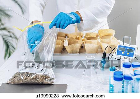 Stock Photo - Soil testing. The biologist pours the soil with spatula from sample bag into the separated containers.. Fotosearch