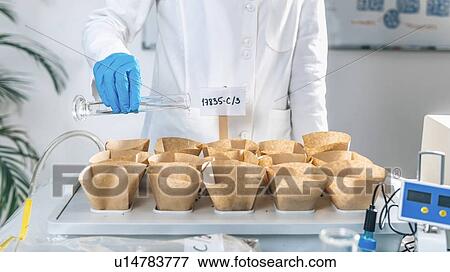 Soil testing. Woman biologist in white coat pouring liquid from test tube into labelled containers with soil. View Large Photo Image Stock Photo - Soil testing. Woman biologist in white coat pouring liquid from test tube into labelled containers with soil.. Fotosearch