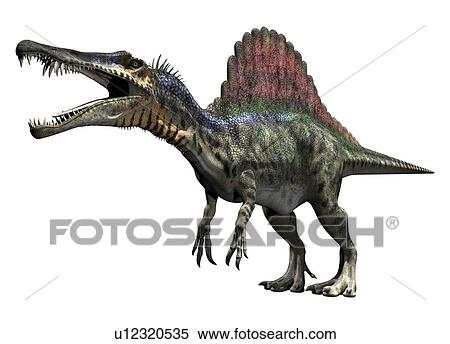 Spinosaurus, against a white background, illustration. View Large Photo Image Stock Photography - Spinosaurus, against a white background, illustration.. Fotosearch