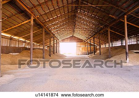 Picture - Stacks of harvested grain in agricultural barn. Fotosearch