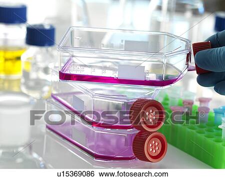 Stock Photograph - Stem cell research. Fotosearch