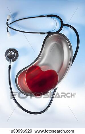 Stock Photo - Stethoscope and heart in surgical dish.. Fotosearch