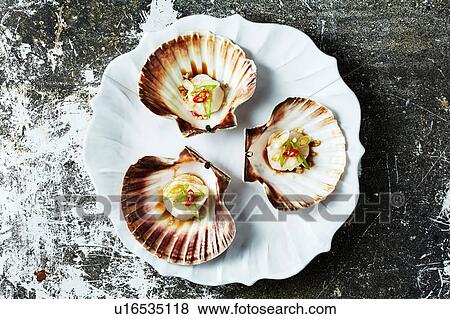 Still life with cooked scallops in scallop seashells, overhead view View Large Photo Image Stock Photo - Still life with cooked scallops in scallop seashells, overhead view. Fotosearch