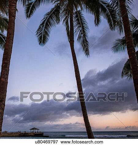 Sunrise at Waikiki Beach, Oahu, Hawaii View Large Photo Image Stock Photo - Sunrise at Waikiki Beach, Oahu, Hawaii. Fotosearch