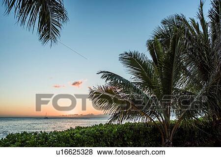 Sunset at Hale, Oahu, Hawaii View Large Photo Image Stock Photo - Sunset at Hale, Oahu, Hawaii. Fotosearch