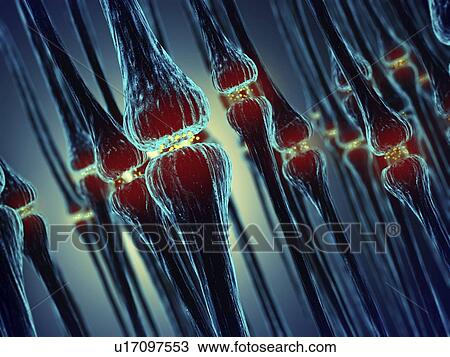 Stock Image - Synapses, illustration. Fotosearch