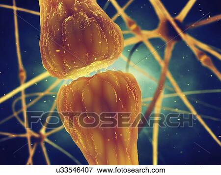 Stock Photo - Synaptic transmission, illustration.. Fotosearch