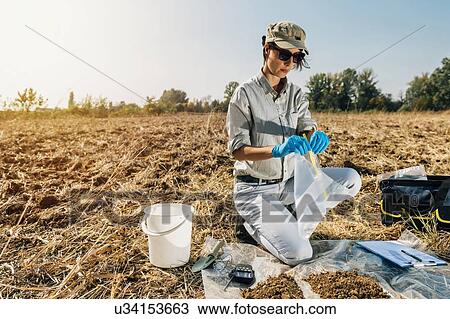 Stock Image - Testing Soil. Agronomist opening soil sample bag in the field.. Fotosearch