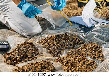 Testing Soil. Agronomist opening soil sample bag in the field. View Large Photo Image Stock Photo - Testing Soil. Agronomist opening soil sample bag in the field.. Fotosearch