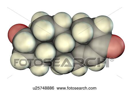 Testosterone hormone, molecular model View Large Photo Image Stock Photograph - Testosterone hormone, molecular model. Fotosearch