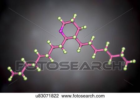 Thromboxane A2, molecular model View Large Photo Image Stock Image - Thromboxane A2, molecular model. Fotosearch
