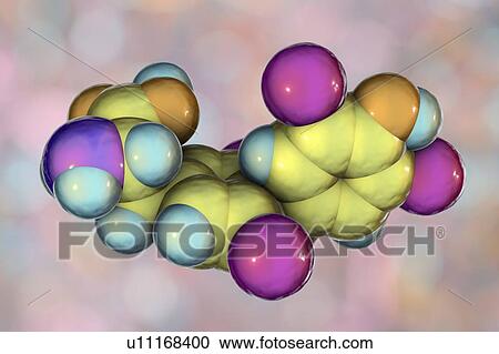 Stock Image - Thyroxine hormone, molecular model. Fotosearch