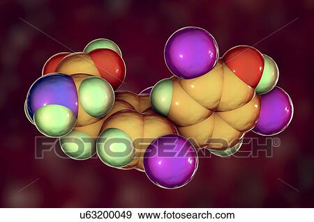 Stock Photo - Thyroxine hormone, molecular model. Fotosearch