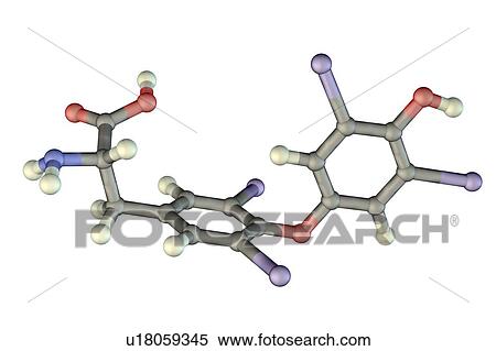 Stock Photography - Thyroxine hormone, molecular model. Fotosearch