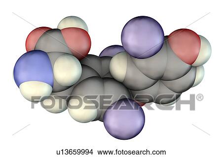 Triiodothyronine hormone, molecular model View Large Photo Image Picture - Triiodothyronine hormone, molecular model. Fotosearch