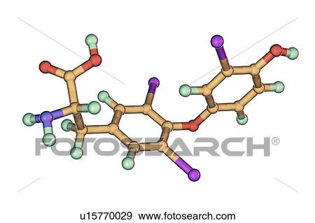 Triiodothyronine hormone, molecular model View Large Photo Image Stock Photo - Triiodothyronine hormone, molecular model. Fotosearch