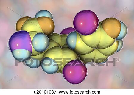 Triiodothyronine hormone, molecular model View Large Photo Image Stock Photo - Triiodothyronine hormone, molecular model. Fotosearch