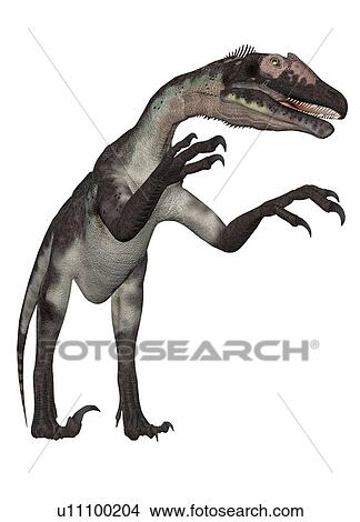 Picture - Utahraptor against a white background, illustration.. Fotosearch