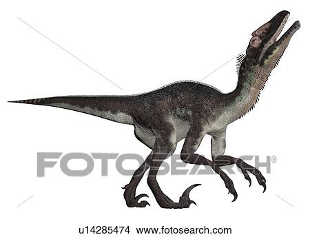 Utahraptor against a white background, illustration. View Large Photo Image Picture - Utahraptor against a white background, illustration.. Fotosearch