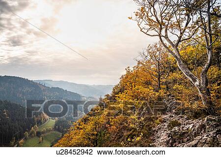 Stock Image - View from Karlsruher Grat (ridge), black forest, Ottenhofen im Schwarzwald, Baden-Wurttemberg. Fotosearch