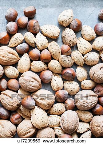 Walnuts and almonds in shell, hazelnuts View Large Photo Image Stock Photo - Walnuts and almonds in shell, hazelnuts. Fotosearch