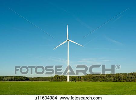 Wind turbine on nature reserve, Netherlands View Large Photo Image Picture - Wind turbine on nature reserve, Netherlands. Fotosearch