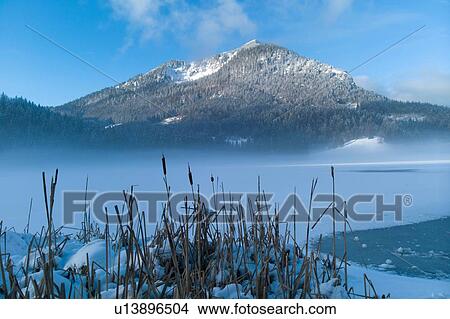 Picture - Winter landscape with mist over Spitzingsee, Bavaria, Germany. Fotosearch