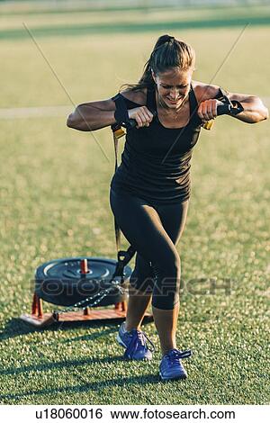 Woman dragging a tyre View Large Photo Image Stock Photograph - Woman dragging a tyre. Fotosearch