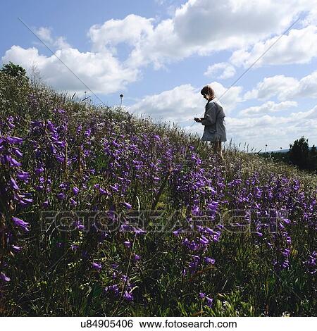 Stock Photograph - Woman picking purple wildflowers on hillside. Fotosearch