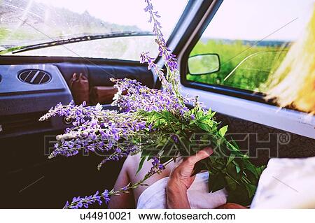 Stock Image - Woman sitting in car with bunch of purple wildflowers, over shoulder view. Fotosearch