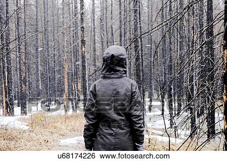 Stock Photograph - Woman standing in forest in winter, Ural, Sverdlovsk, Russia. Fotosearch