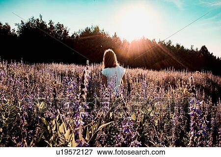 Woman strolling through field of purple wildflowers, rear view View Large Photo Image Stock Photo - Woman strolling through field of purple wildflowers, rear view. Fotosearch