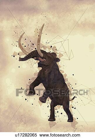 Stock Photography - Woolly mammoth (Mammuthus primigenius). Fotosearch