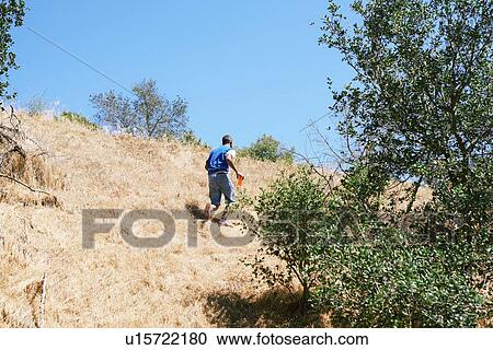 Stock Image - Young man walking up hill in park, Los Angeles, California, USA. Fotosearch