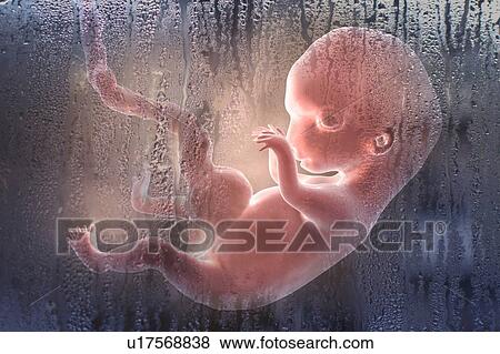 Stock Photo - Abortion, conceptual illustration. Fotosearch