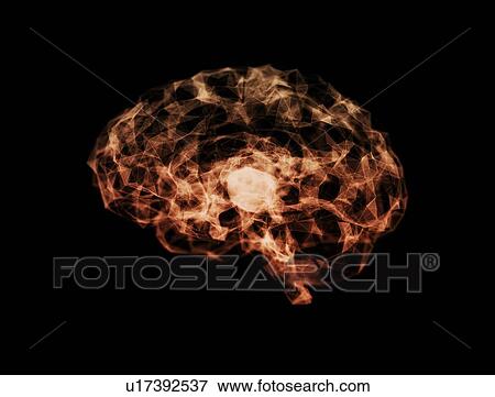 Stock Photo - Abstract polygon brain, illustration. Fotosearch