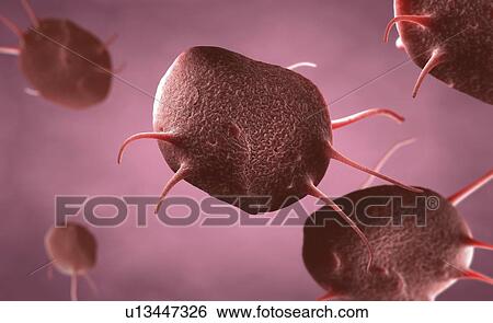 Stock Photograph - Activated platelets, illustration. Fotosearch