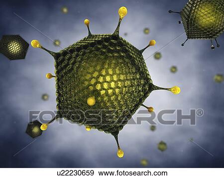 Stock Photo - Adenovirus, illustration. Fotosearch