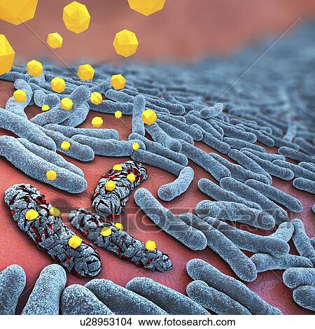 Picture - Antibiotics destroying bacteria, illustration. Fotosearch