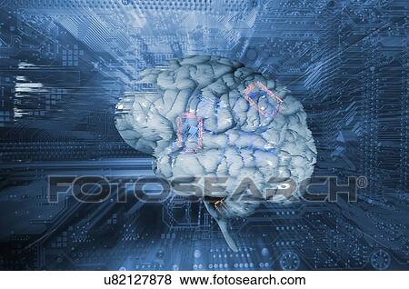 Stock Photo - Artificial intelligence, conceptual image. Fotosearch