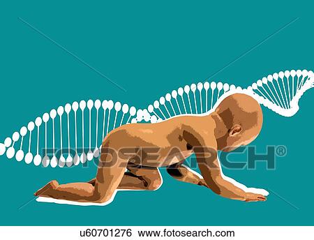 Baby and dna, illustration View Large Photo Image Stock Photograph - Baby and dna, illustration. Fotosearch