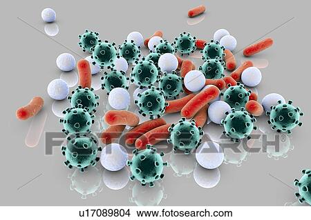 Bacteria and viruses, illustration View Large Photo Image Picture - Bacteria and viruses, illustration. Fotosearch