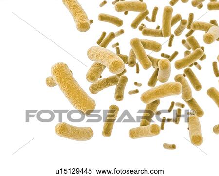 Stock Photography - Bacteria, computer illustration.. Fotosearch