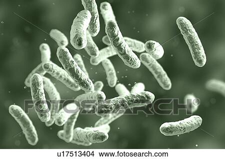 Picture - Bacteria, illustration. Fotosearch