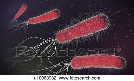 Bacteria, illustration View Large Photo Image Stock Image - Bacteria, illustration. Fotosearch