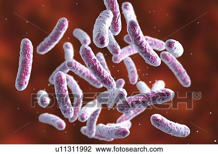 Stock Image - Bacteria, illustration. Fotosearch