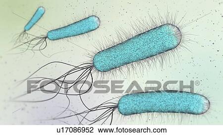 Stock Image - Bacteria, illustration. Fotosearch